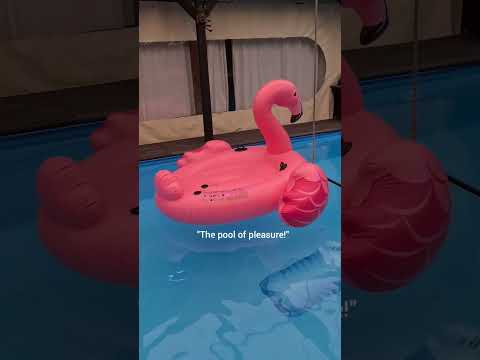 Stella Bossi showing us Berlin’s best - Kit Kat Club 🧨⛓ #berlin #hardtechno #techno #rave