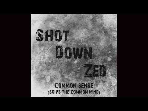 Shot Down Zed - Common Sense (Skips The Common Mind)