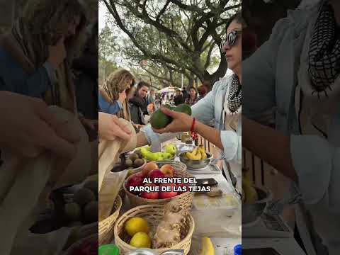 3 Ferias Cordobesas #unc #villaallende #agroecologica