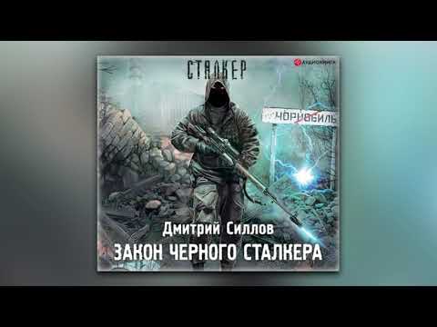 Дмитрий Силлов - Закон Черного сталкера (аудиокнига)