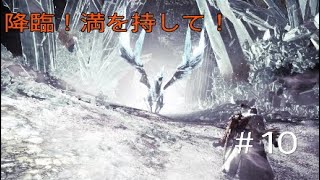 モンハンワールドアイスボーン　MHWIB 　#10　遂にイヴェルカーナとご対面　モンスターハンターワールドアイスボーン