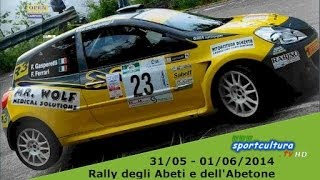 preview picture of video 'Rally degli Abeti e dell'Abetone - P.S. 7 Le Torri'