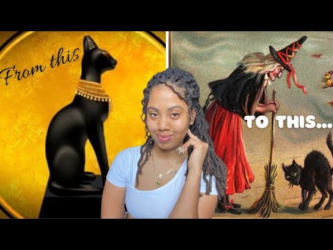 The Cat Lady Origin Story🙄