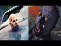 Van Helsing Season 5 Vampire Shaved Its Head Bald By Squeezing Out Of The Car