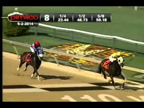 Pimlico 05/02/14 race 8