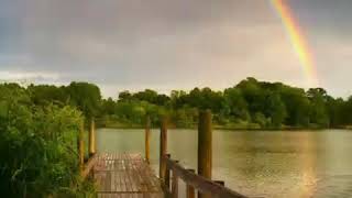 Love Comes From Unexpected Places