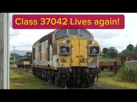 Ex-EWS Class 37042 lives again! for da boyz