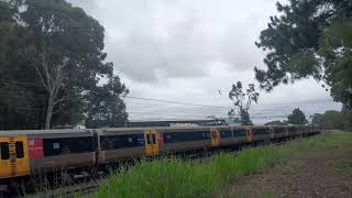 Queensland Rail NGR 733 (probs empty) cruising along the Caboolture line thru Morayfield on 25^03^25