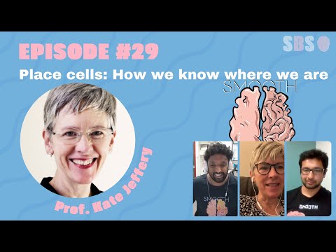 29. Place Cells: How we know where we are - Prof. Kate Jeffery