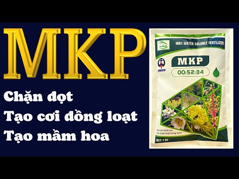 , title : 'MKP là gì? | MKP chặn đọt, tạo mầm & tạo cơi đồng loạt | MKP xài cho cây trồng nào?'