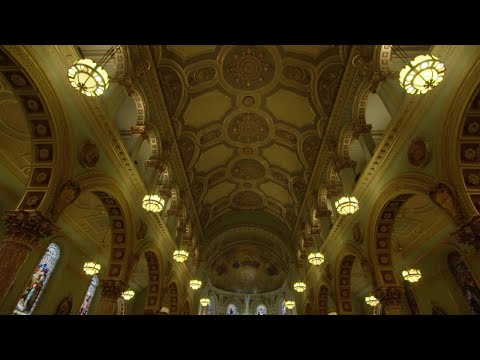 You're Amazing - Brandi