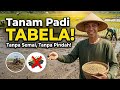 Tanam Padi Tabela Takaran Tanam Tabela