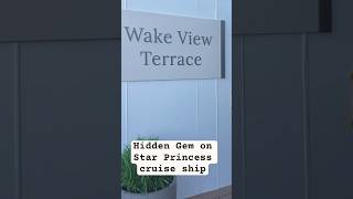 The BEST Hidden Gem on Star Princess: Wake View Terrace Tour #StarPrincess #CruiseTips  #oceanviews