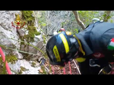 Conca Casale (IS): recupero di due cani in ambiente impervio a cura dei VF