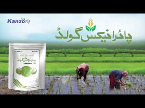 PYRANEX GOLD field use
