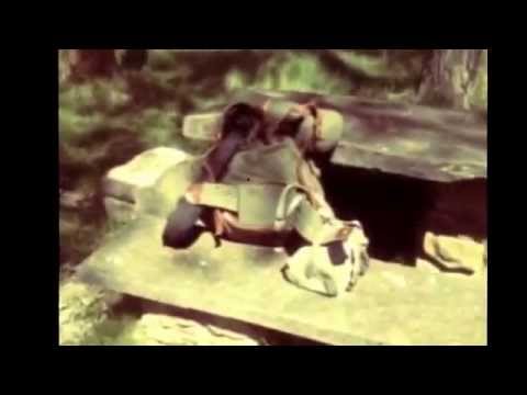 Il Camminante Dilettante (DAY 16) ITERO DE LA VEGA - VILLARCAZAR  (1 day in 2 min)