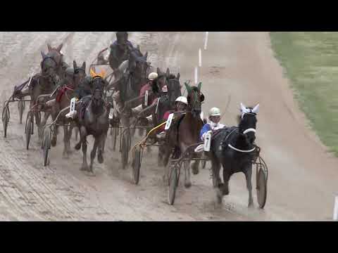 2019.05.04. 01. futam - DŐRE HENDIKEP