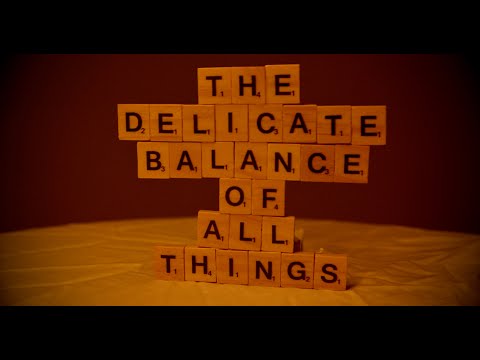 BEAUTY IN CHAOS ft. WAYNE HUSSEY -THE DELICATE BALANCE OF ALL THINGS (Official Video)