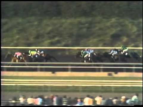 1978 Santa Anita Derby Affirmed Wins! The RARE Full Race Version