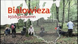 Bialowitsa þjóðgarðurinn í Póllandi