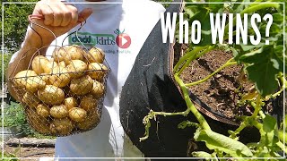 Raised Bed Garden vs Fabric Pots for POTATOES