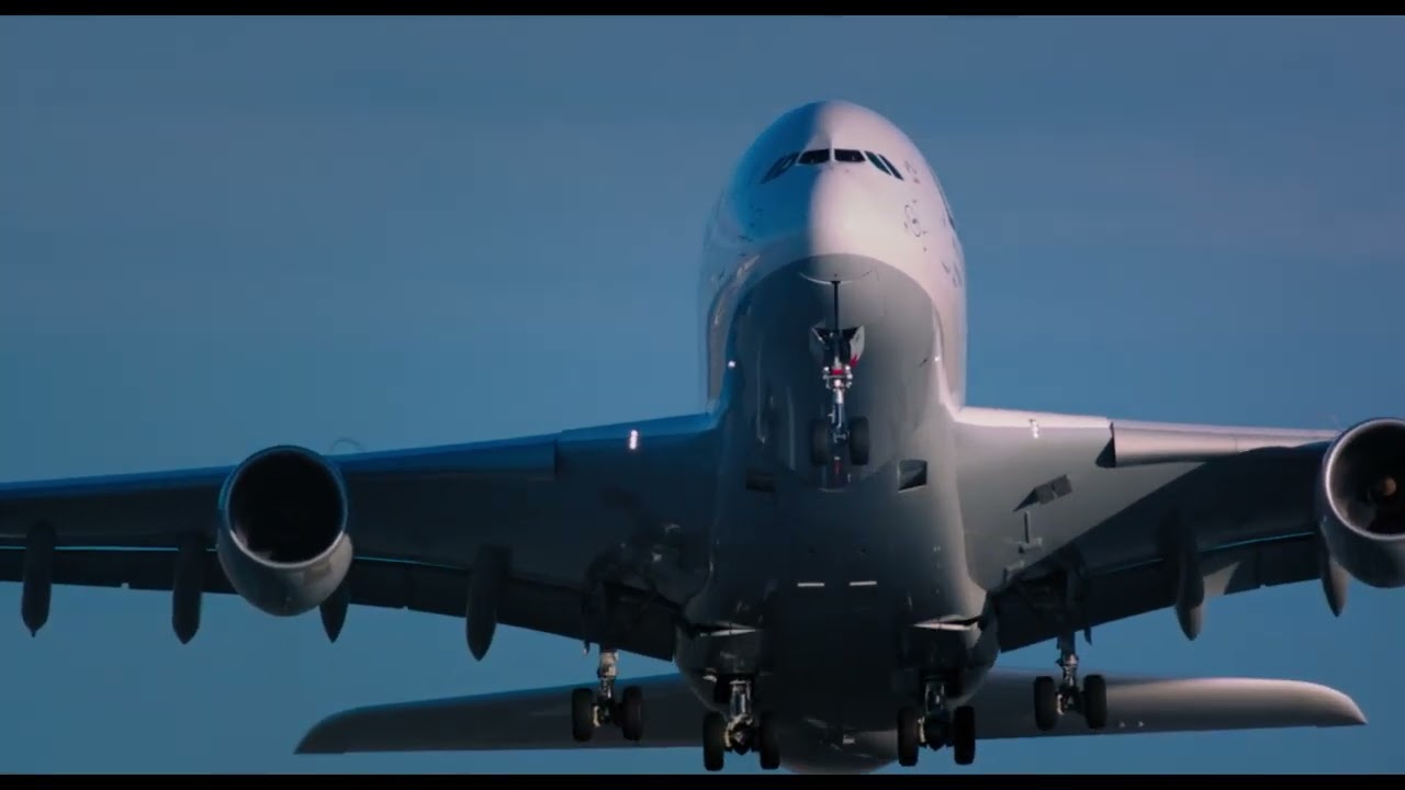 The Green Lie (2018) - Official Trailer