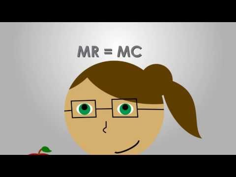 How Much to Produce? The Story of Marginal Revenue and Marginal Costs