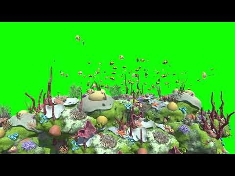 Super Awesome Coral Reef Animation Green Screen