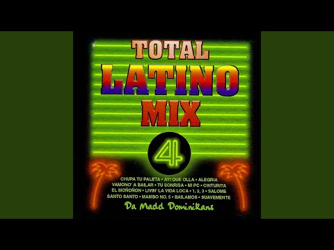 Bailamos / Santo Santo / Mambo No. 5 / Follow The Leader / 1, 2, 3 / Msr / Salome / Mi Negro /...