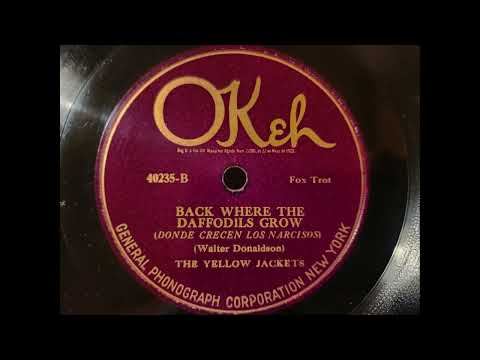 BACK WHERE THE DAFFODILS GROW - THE YELLOW JACKETS -1920's OKeh Dance Music- Walter Donaldson