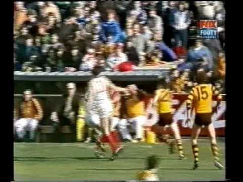 VFL R20 1982 - Hawthorn v Sydney