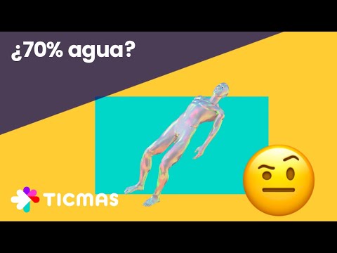 ¿De qué estamos hechas las personas? Composición química de los seres vivos