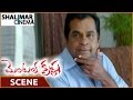 Mental Krishna Movie Satya Krishnan Caught Brahmanandam Red Handed Shalimar Cinema