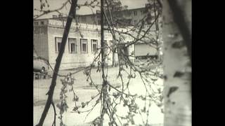 preview picture of video 'Совхоз Тулома 20 июня 1982'