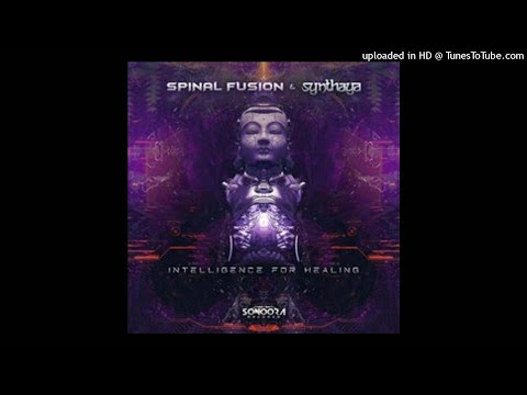 Spinal Fusion vs Synthaya - Intelligence For Healing (Original Mix)