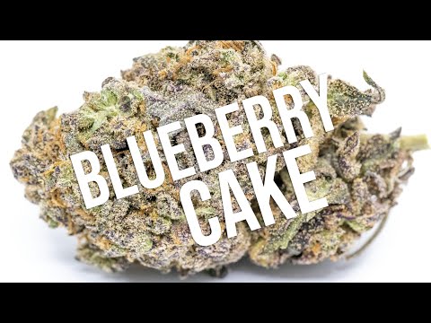 Blueberry Cake Strain Leafly