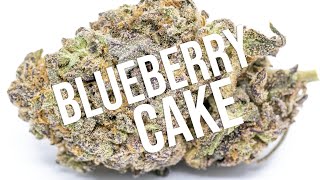 Blueberry Cake review!