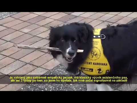 Kniha: Chuck Norris a já