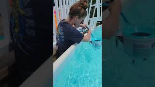 How To Install an Intex Deluxe Wall Mount Surface Skimmer in an above ground Pool
