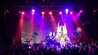 Devotchka &quot;Venus In Furs&quot; (Velvet Underground)