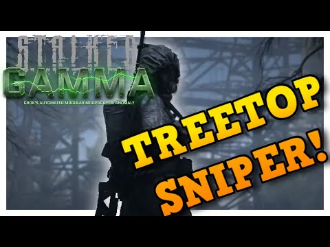 S.T.A.L.K.E.R Anomaly Gamma | Treetop Sniper!