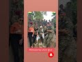 Gadar 2 Movie S Shouting Time Enjoy Sunny Deol And Team Comedy Scenes Gadar Shortvideo Comedy