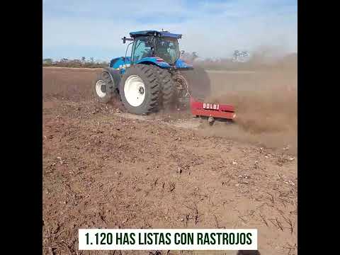 ALQUILER CAMPO 1.500 HAS. (APTAS SIEMBRA) ZONA PINTO, SANTIAGO DEL ESTERO