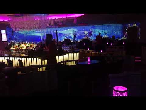 Crazy Daisy Prague BAR