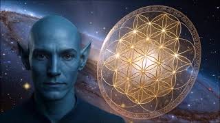 ZUSRREN DIZ SAIBA QUEM É AMPARADOR X ASSEDIADOR