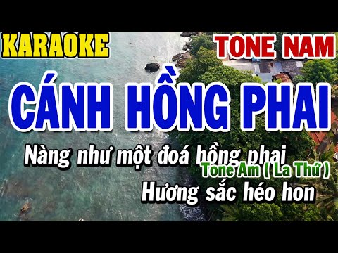 Karaoke Cánh Hồng Phai Tone Nam | Karaoke Beat | 84