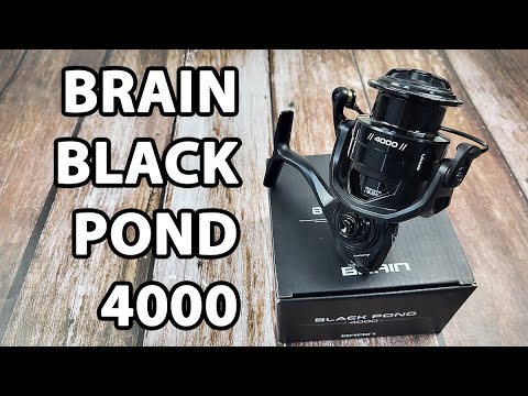  Котушка Brain Black Pond 4000 (5+1 підшип., 5.0:1, 305 гр) — фідерна, потужна, для середньої дистанції