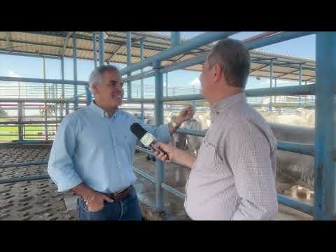 INTENSIFICAÇÃO DA PRODUÇÃO ENTREGA BOI PRECOCE PARA CARNE TIPO EXPORTAÇÃO EM GOIÁS