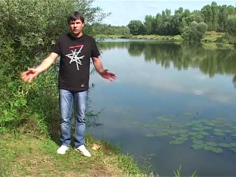 Zlatko Nedeljko Pepsi - Dečec ide z škole