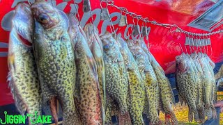 We Found a HUGE School of Pre-Spawn CRAPPIE 🎣 Tips to Help You FILL a STRINGER Full of Crappie